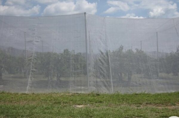 Anti-insect Netting